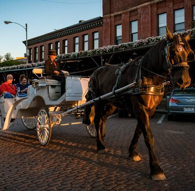 10 Enchanting Old Market Experiences