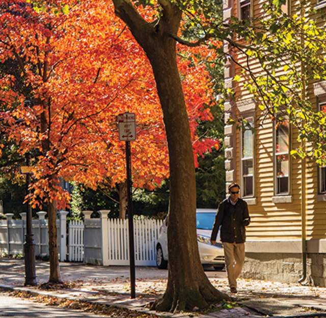 Buy Local for Thanksgiving: 5 Holiday Essentials
