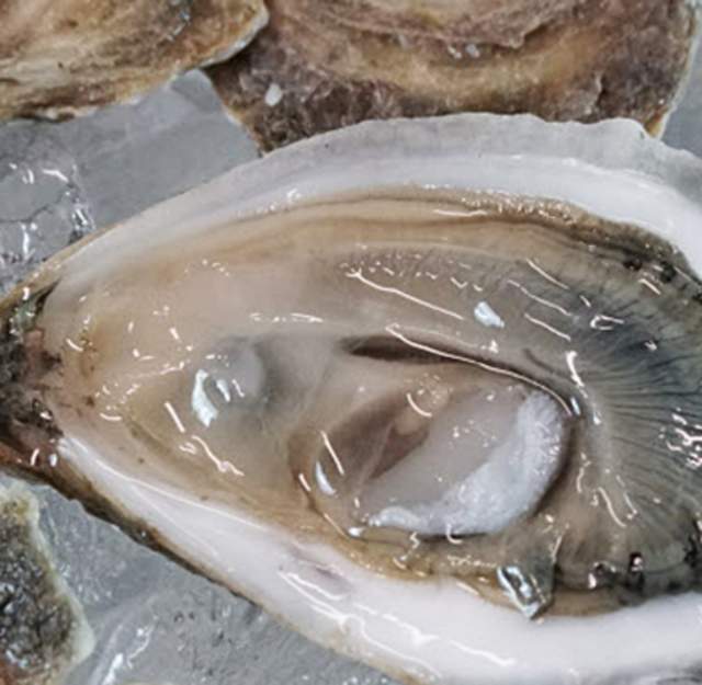 Celebrate National Oyster Day in Providence & Beyond