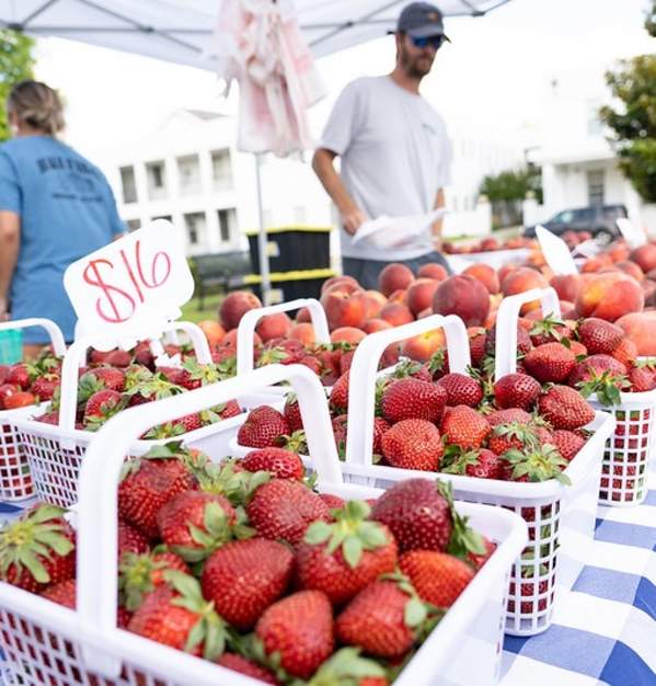 Opelika Strawberry Fest Hosted by O Grows