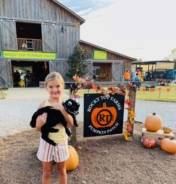 The Farm at Rocky Top Pumpkin Patch
