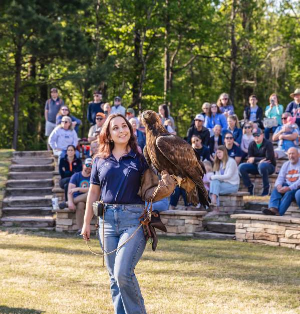 Football, Fans, and Feathers