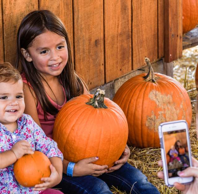 Two young children sit among pumpkins smiling while an adult takes their photo on a smartphone, capturing a festive fall selfie moment in Fayetteville.