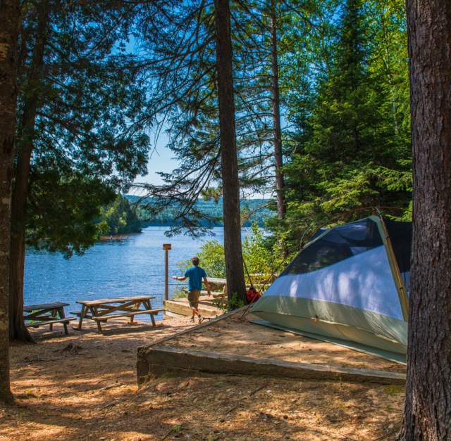 campground near a lake with a tent