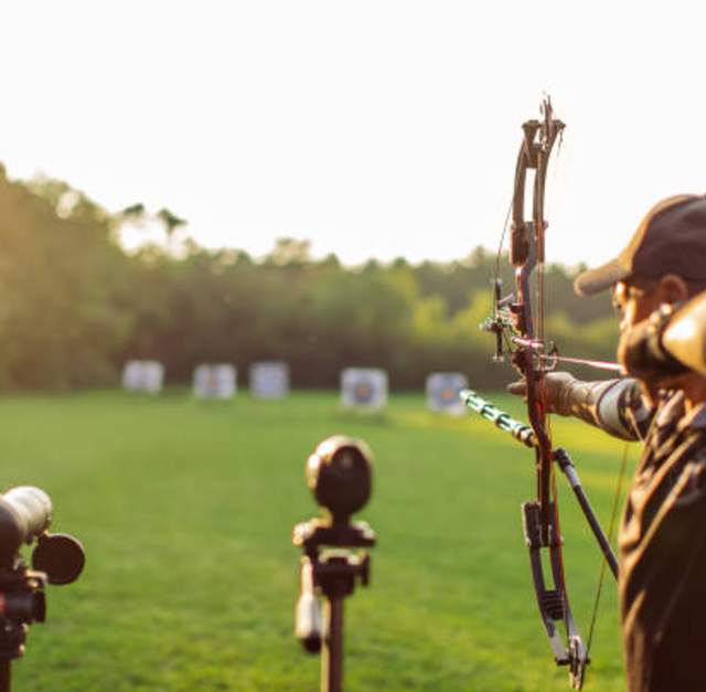 Adaptive Archery