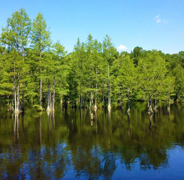 Canoe Hike at Carvers Creek