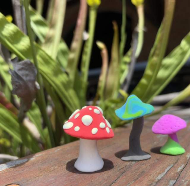 Family Art Night: Clay Mushroom Madness