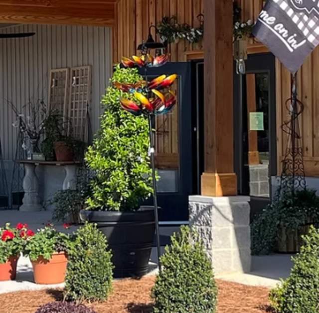 Back to School Bash at Click's Nursery