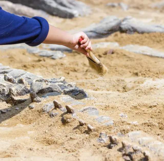 Dinosaurs in the Dirt
