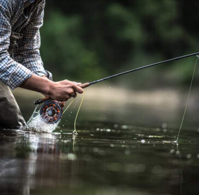 Warm Water Fly-fishing Workshop