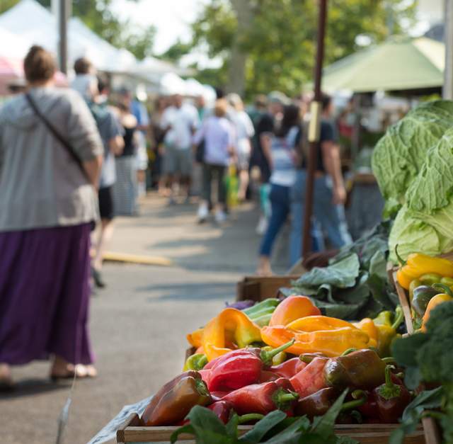 Dirtbag Farmers Market