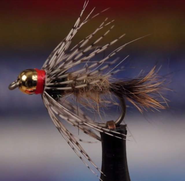 Fly-Tying Forum