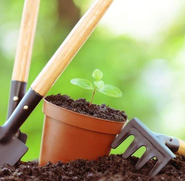 Gardening from the Ground Up