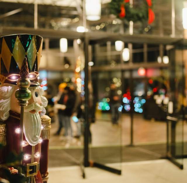 Holiday Lights in the Garden 2025