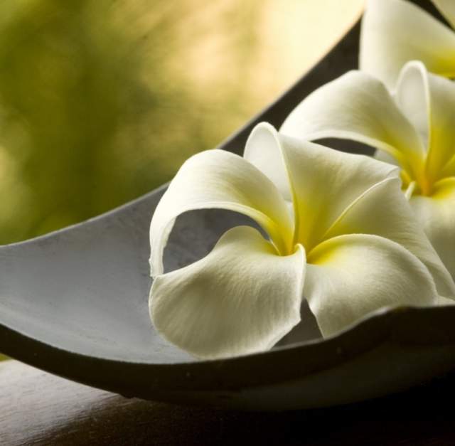 Serenity Integrated Medical Spa