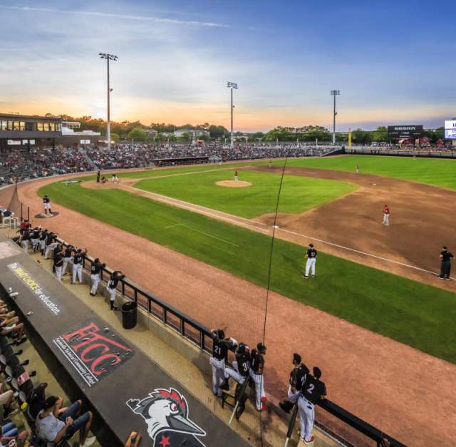 Fayetteville Woodpeckers Baseball: Bark in the Park