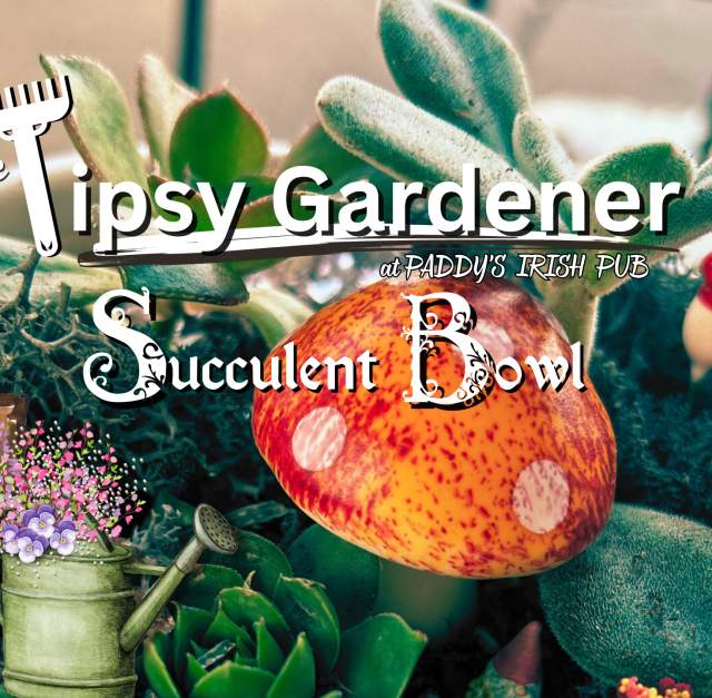 The Tipsy Gardener presents Succulent Bowl, on Wednesday, August 28th!