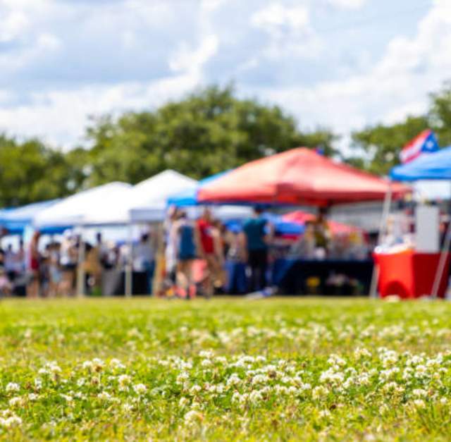 North South Vendors Market