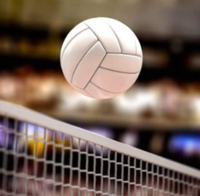 Intro to Volleyball Clinic