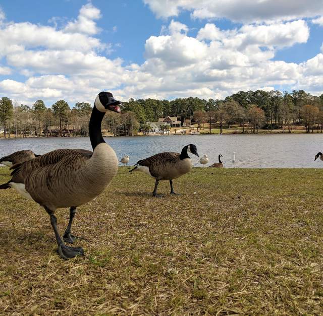 Hope Mills Lake