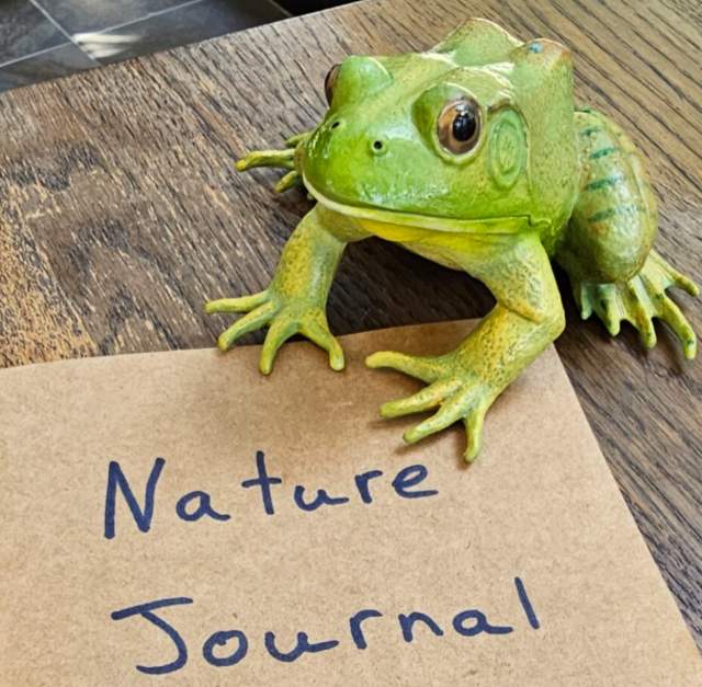Family Art Night: Nature Journaling