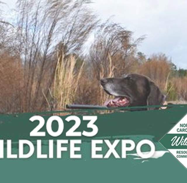 Wildlife Expo