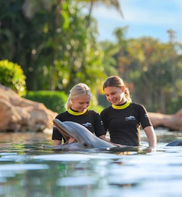 Swimming with dolphins at Discovery Cove Orlando