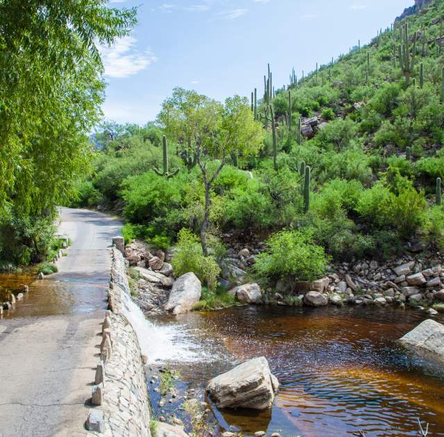 Sabino Canyon Recreation Area