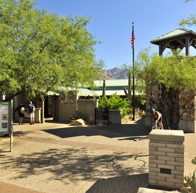 Sabino canyon bikes shop