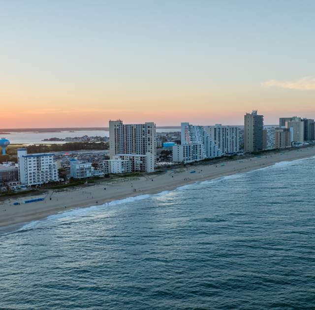 Sustainability Roundup: A Local’s Guide to Green Initiatives in Ocean City