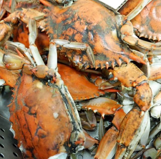 Midweek Smiles - Blu Crabhouse & Raw Bar