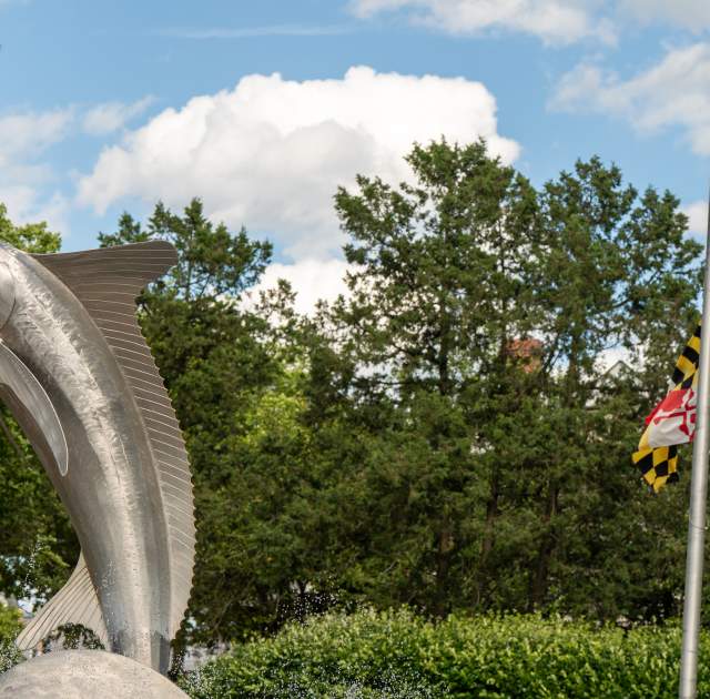 Entry Park