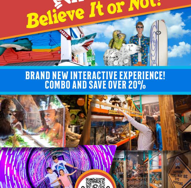 Interactive Experience! Combo & Save 20%!