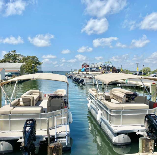 Bayside Boat Rentals