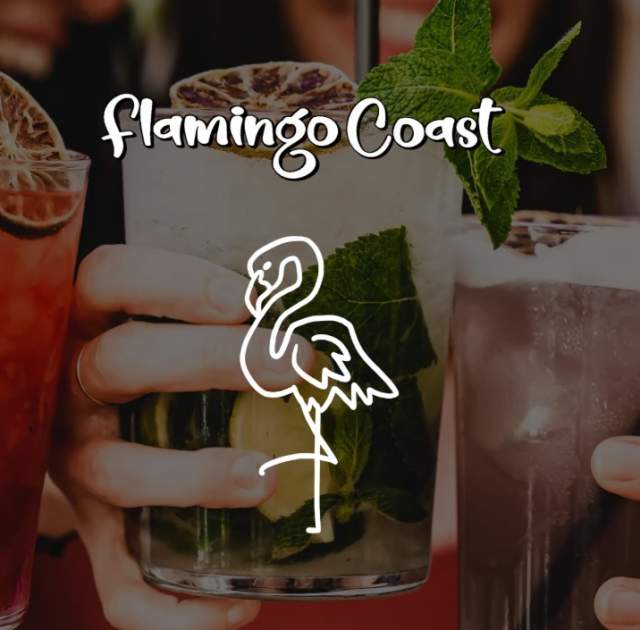 Flamingo Coast