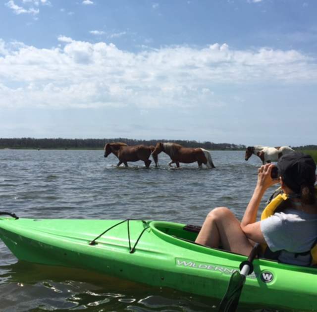 $5 off Guided Kayak Tours!