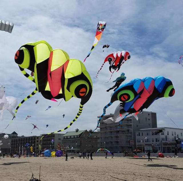 Kite Loft North