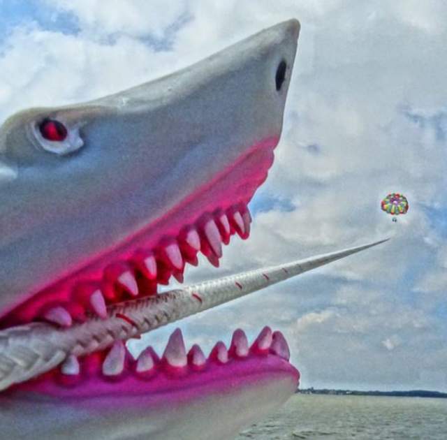 OC Parasail Inc