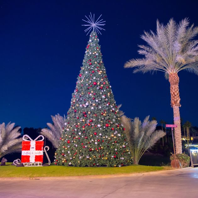 Indian Wells Winterfest