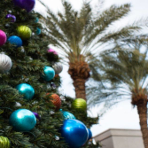 Christmas Tree in Palm Springs