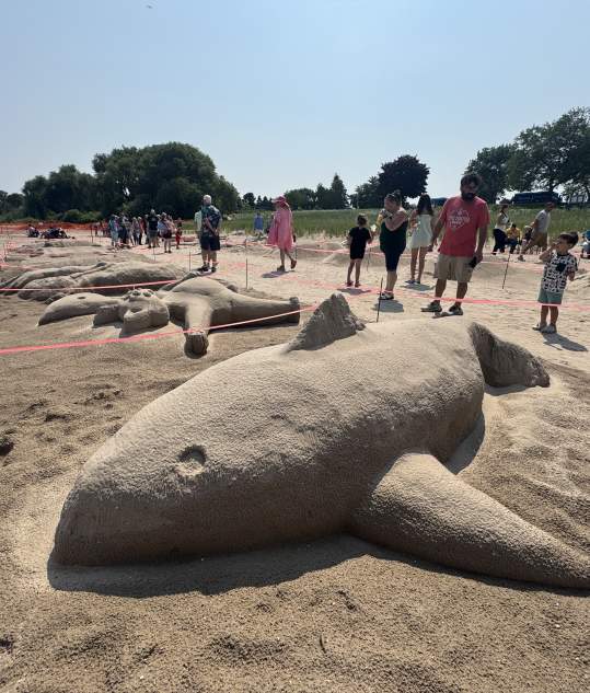 shark sculpture at Wisconsin Sand Sculpting Festival