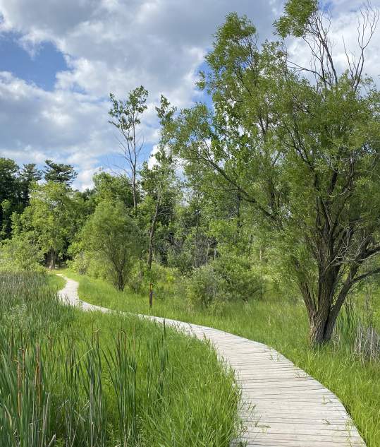 Henry Schuette Park