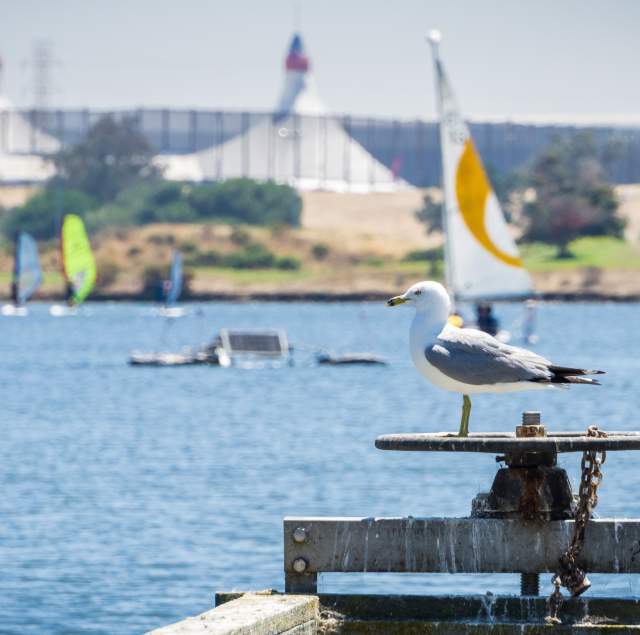 Shoreline Amphitheatre