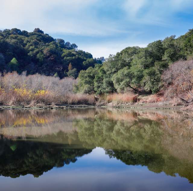 image of waterdog lake with refelection of trees