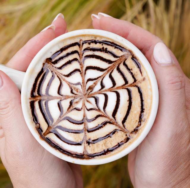 Top Coffee Shops on The Peninsula (By City)