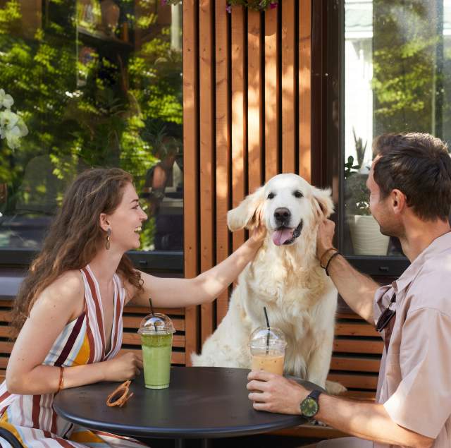 Best Dog-Friendly Cafés on the San Francisco Bay Area Peninsula (2026 Guide)
