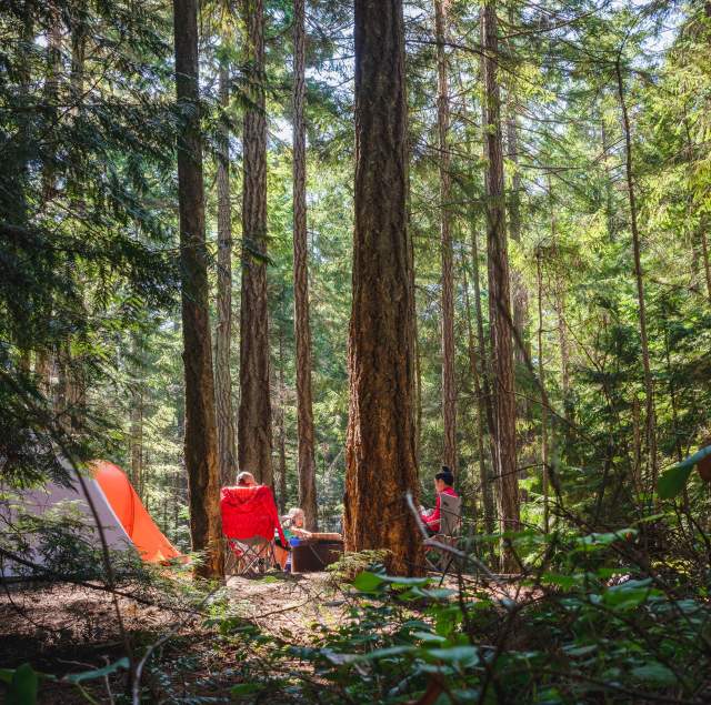 Top Campgrounds on The San Francisco Peninsula