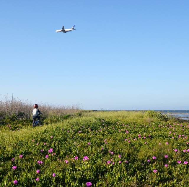 Kid riding bike on Coyote Point Trail in San Mateo California