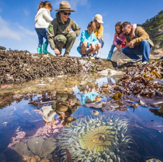 Fitzgerald_Marine_Reserve_Courtesy_of_VisitCA_by_David_Collier_SanMateoCounty_SiliconValley