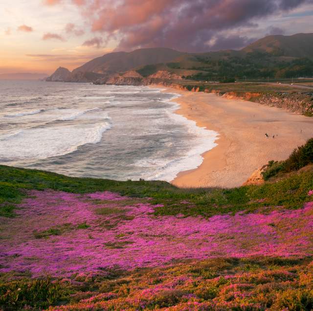 Top Beaches on The San Francisco Peninsula